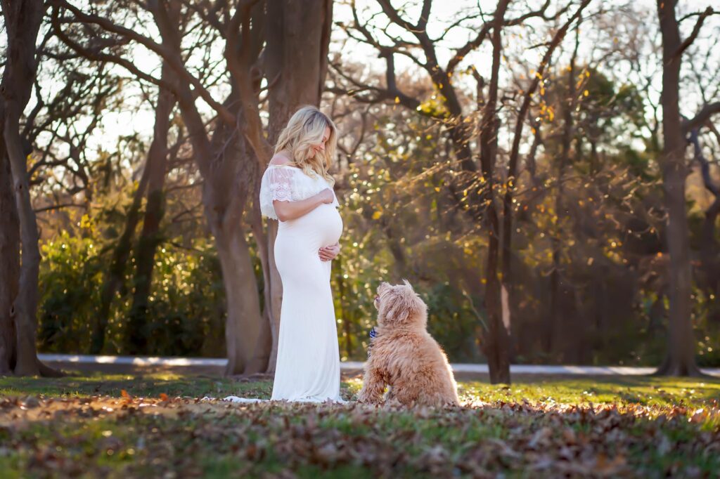 Dallas maternity photographer poses mom to be in white dress at park with her golden doodle during her maternity photography session