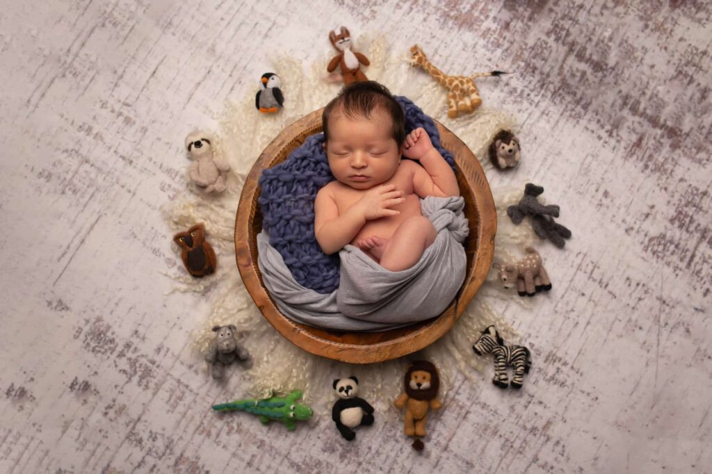 newborn posed in bowl on neutral toned rustic floor with tiny toy animals surrounding him at Dallas newborn photography studio Mod L Photography